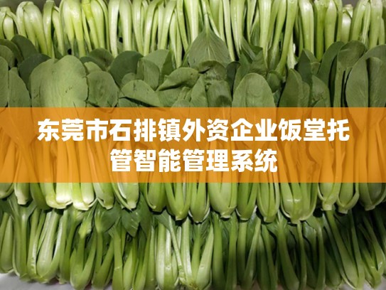 东莞市石排镇外资企业饭堂托管智能管理系统
