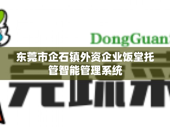 东莞市企石镇外资企业饭堂托管智能管理系统
