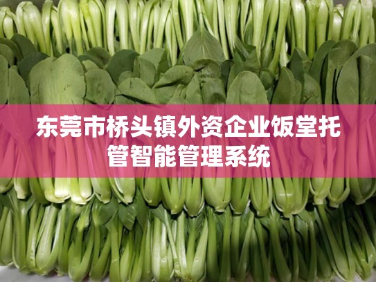 东莞市桥头镇外资企业饭堂托管智能管理系统