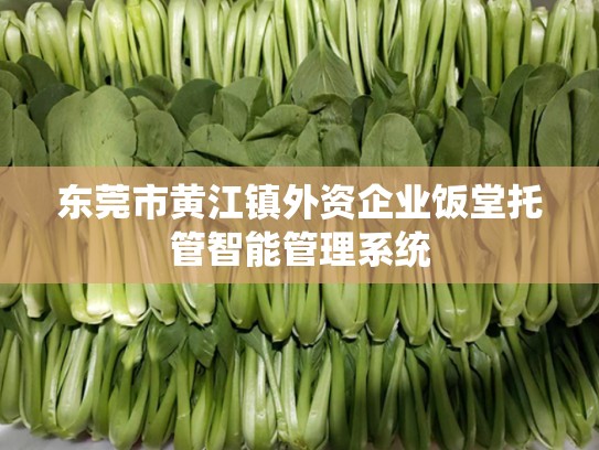 东莞市黄江镇外资企业饭堂托管智能管理系统