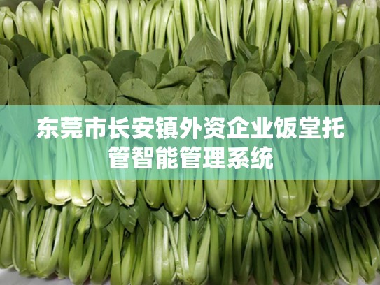东莞市长安镇外资企业饭堂托管智能管理系统