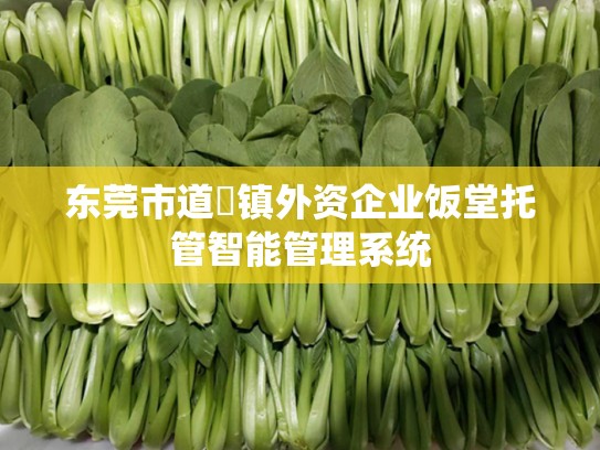 东莞市道滘镇外资企业饭堂托管智能管理系统