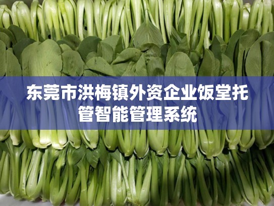 东莞市洪梅镇外资企业饭堂托管智能管理系统