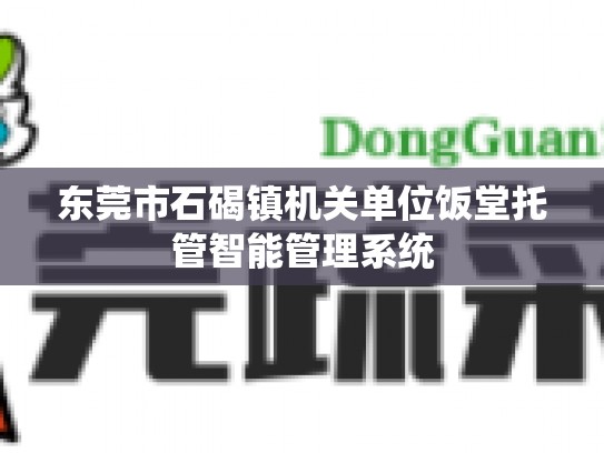 东莞市石碣镇机关单位饭堂托管智能管理系统
