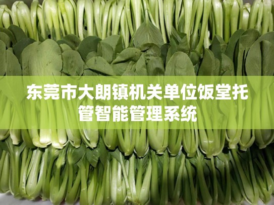 东莞市大朗镇机关单位饭堂托管智能管理系统
