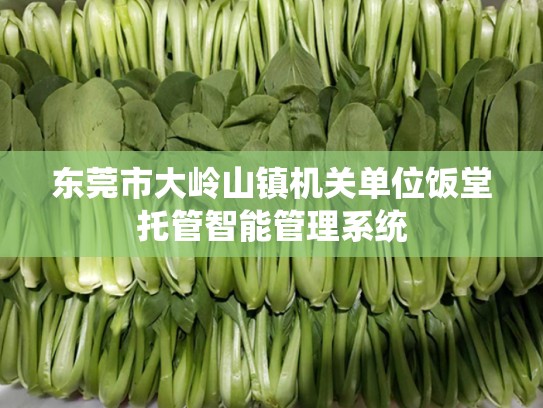 东莞市大岭山镇机关单位饭堂托管智能管理系统