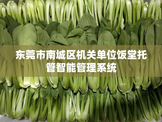 东莞市南城区机关单位饭堂托管智能管理系统