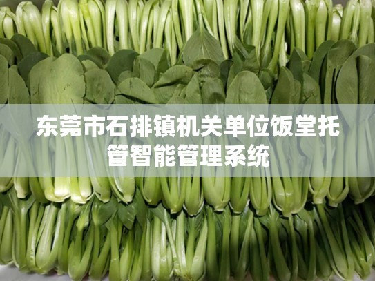 东莞市石排镇机关单位饭堂托管智能管理系统