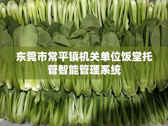 东莞市常平镇机关单位饭堂托管智能管理系统