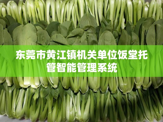 东莞市黄江镇机关单位饭堂托管智能管理系统