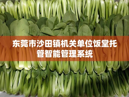 东莞市沙田镇机关单位饭堂托管智能管理系统