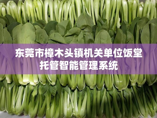 东莞市樟木头镇机关单位饭堂托管智能管理系统