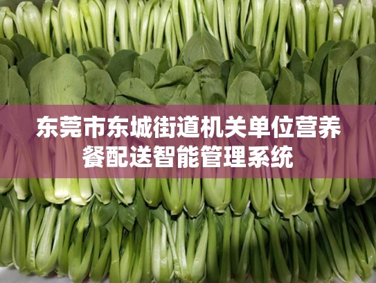 东莞市东城街道机关单位营养餐配送智能管理系统