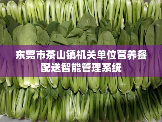 东莞市茶山镇机关单位营养餐配送智能管理系统