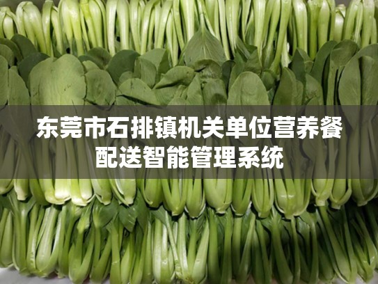 东莞市石排镇机关单位营养餐配送智能管理系统