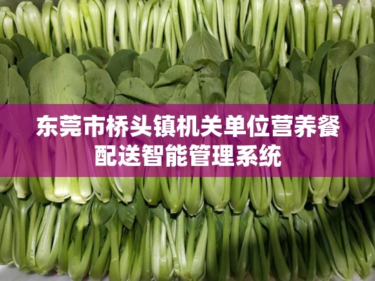 东莞市桥头镇机关单位营养餐配送智能管理系统