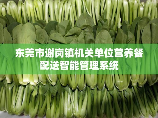 东莞市谢岗镇机关单位营养餐配送智能管理系统
