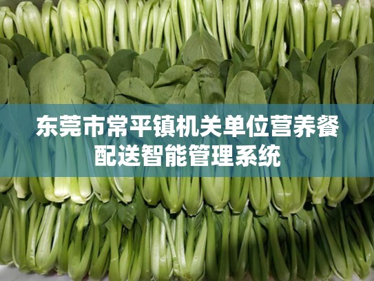 东莞市常平镇机关单位营养餐配送智能管理系统