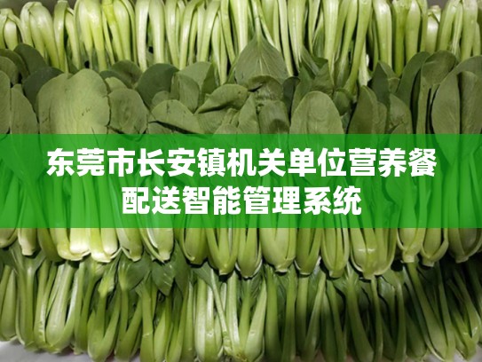 东莞市长安镇机关单位营养餐配送智能管理系统