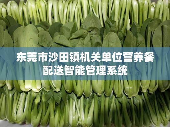 东莞市沙田镇机关单位营养餐配送智能管理系统