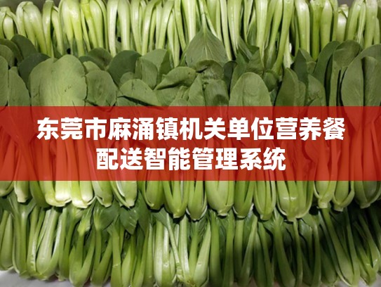 东莞市麻涌镇机关单位营养餐配送智能管理系统