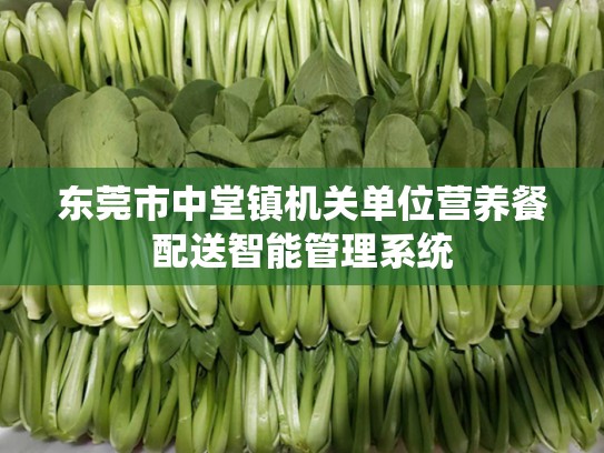 东莞市中堂镇机关单位营养餐配送智能管理系统