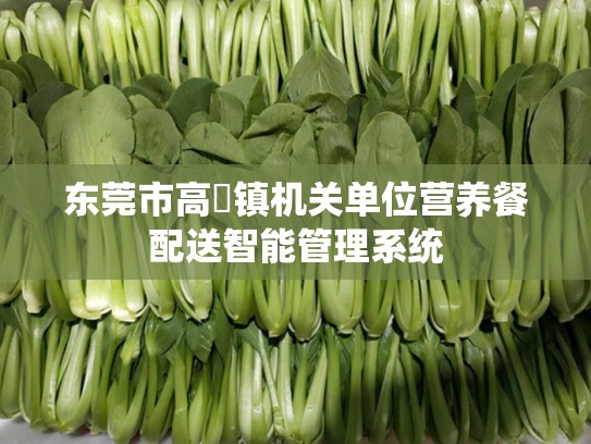 东莞市高埗镇机关单位营养餐配送智能管理系统