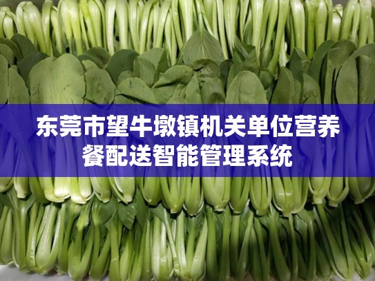 东莞市望牛墩镇机关单位营养餐配送智能管理系统