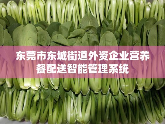 东莞市东城街道外资企业营养餐配送智能管理系统