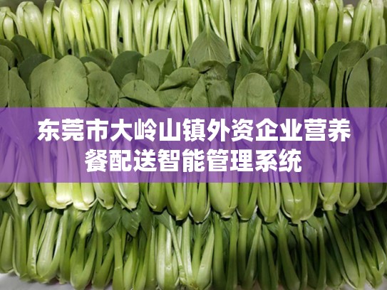 东莞市大岭山镇外资企业营养餐配送智能管理系统