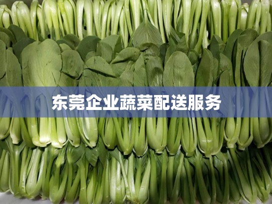 东莞企业蔬菜配送服务