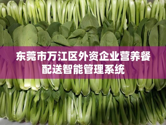 东莞市万江区外资企业营养餐配送智能管理系统