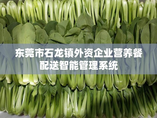 东莞市石龙镇外资企业营养餐配送智能管理系统