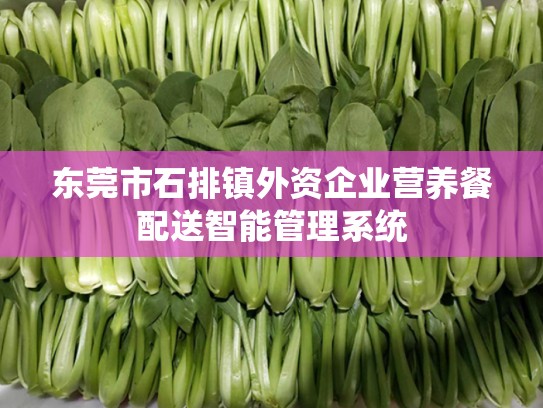 东莞市石排镇外资企业营养餐配送智能管理系统