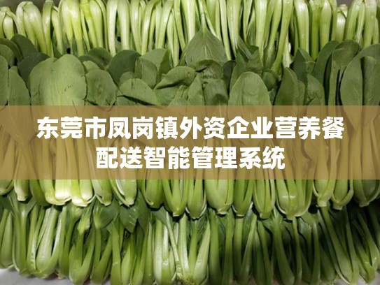 东莞市凤岗镇外资企业营养餐配送智能管理系统