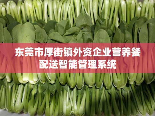 东莞市厚街镇外资企业营养餐配送智能管理系统