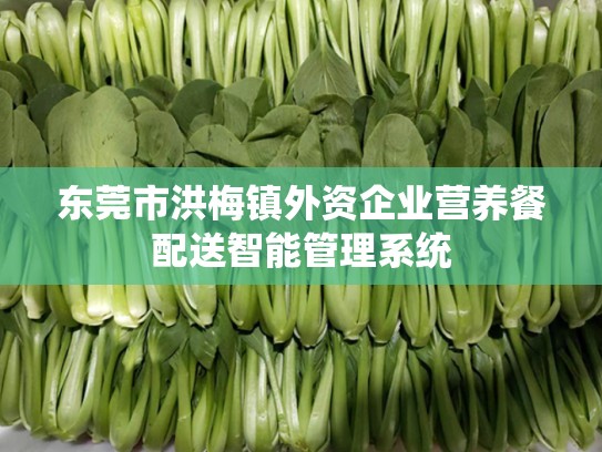 东莞市洪梅镇外资企业营养餐配送智能管理系统