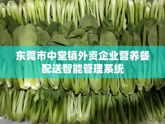 东莞市中堂镇外资企业营养餐配送智能管理系统