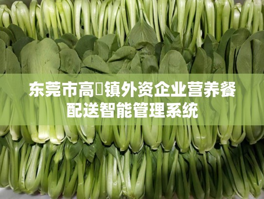 东莞市高埗镇外资企业营养餐配送智能管理系统