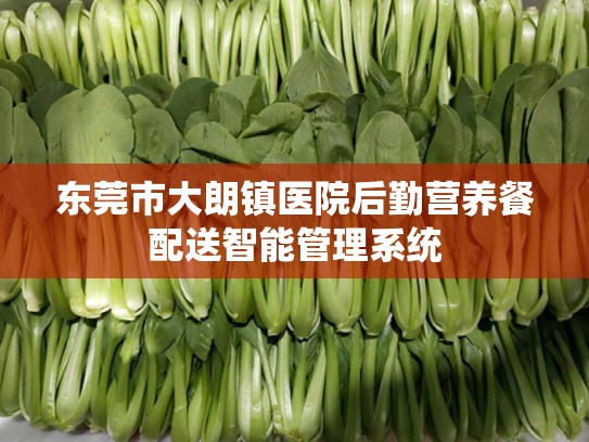 东莞市大朗镇医院后勤营养餐配送智能管理系统