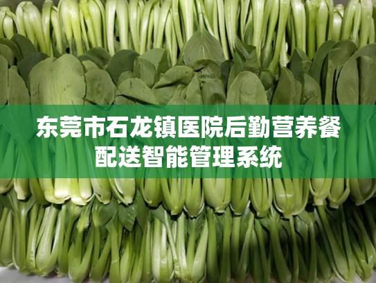 东莞市石龙镇医院后勤营养餐配送智能管理系统