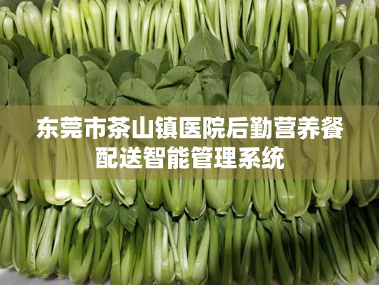 东莞市茶山镇医院后勤营养餐配送智能管理系统