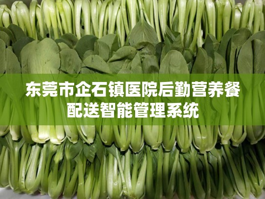 东莞市企石镇医院后勤营养餐配送智能管理系统