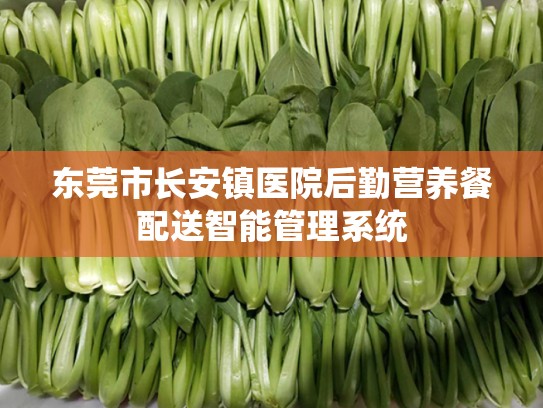 东莞市长安镇医院后勤营养餐配送智能管理系统