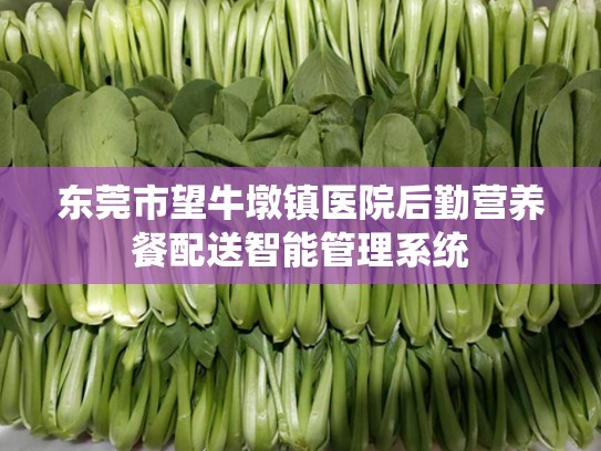 东莞市望牛墩镇医院后勤营养餐配送智能管理系统