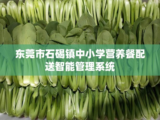 东莞市石碣镇中小学营养餐配送智能管理系统