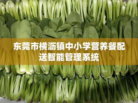 东莞市横沥镇中小学营养餐配送智能管理系统