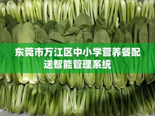 东莞市万江区中小学营养餐配送智能管理系统