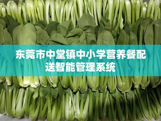 东莞市中堂镇中小学营养餐配送智能管理系统