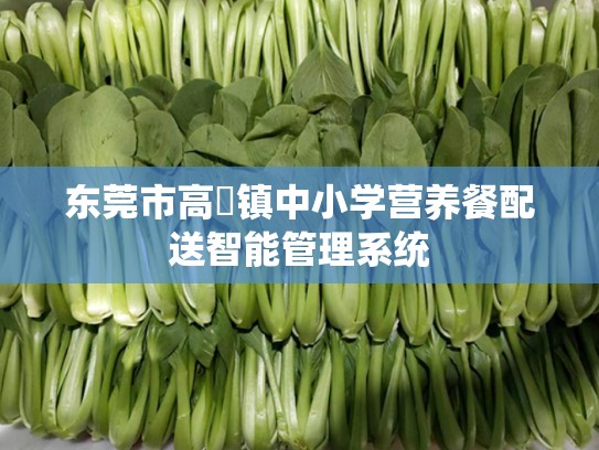 东莞市高埗镇中小学营养餐配送智能管理系统